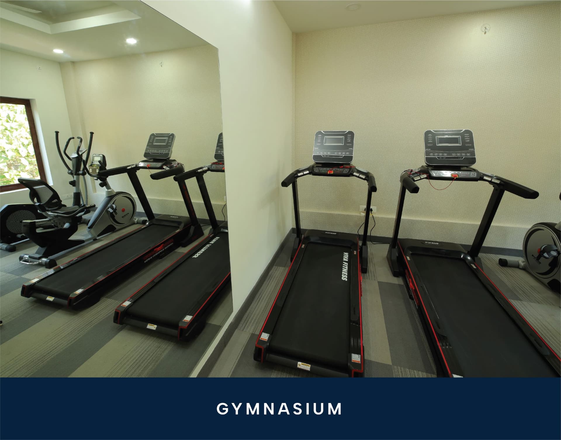 Gymnasium