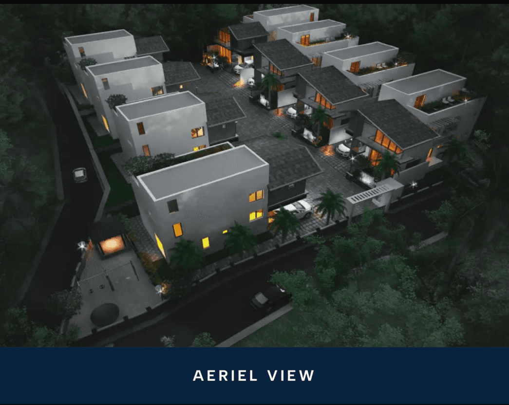 AERIEL VIEW