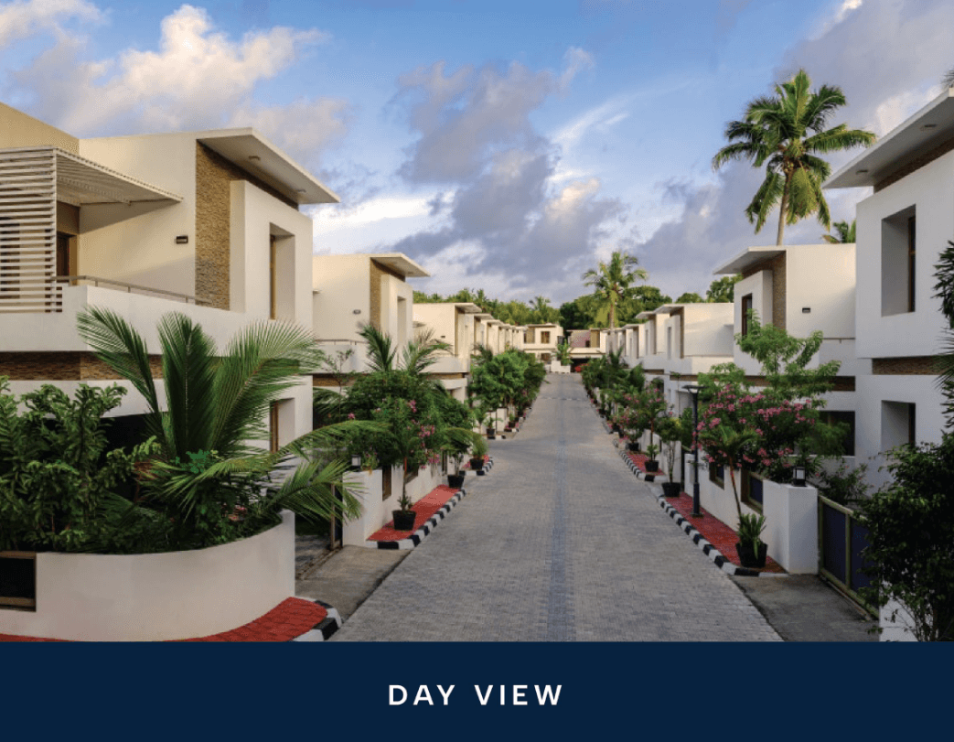 Day View
