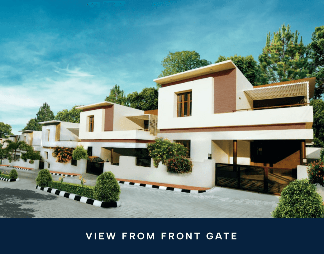View From Front Gate